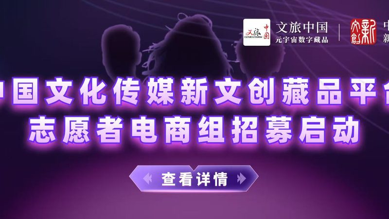 新媒体媒介投放数据分析工具：揭秘其核心价值与应用之道